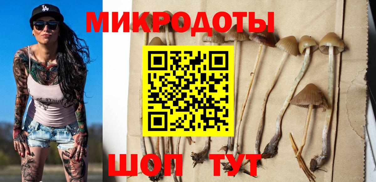 Галлюциногенные грибы Psilocybe  Вход с VPN  Волжский  Псилоцибиновые грибы ЛСД 